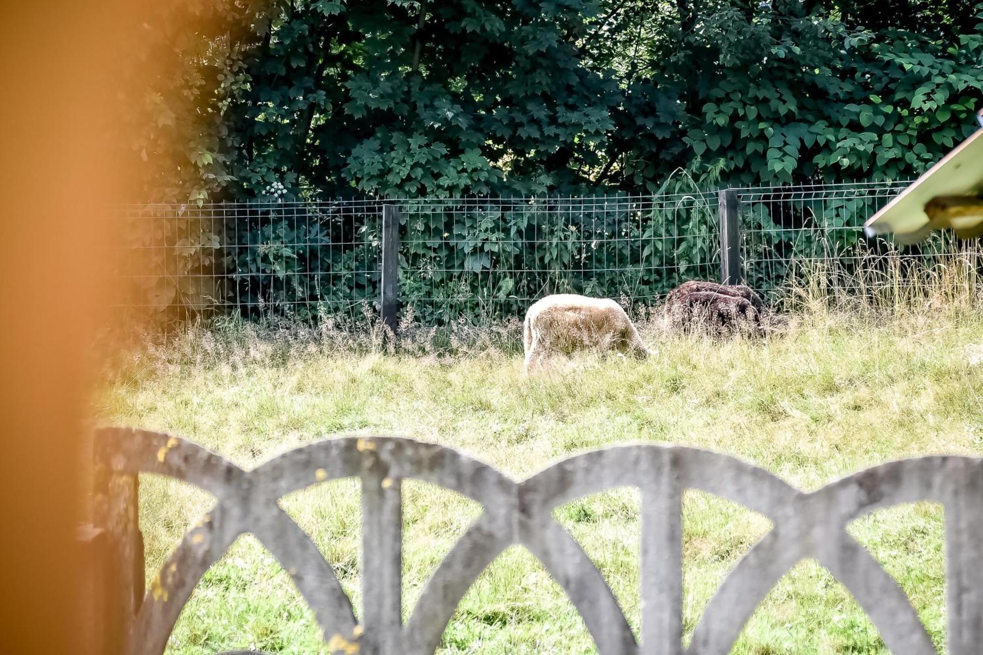 Domek Pod Brzyzkiem ビャウカ エクステリア 写真